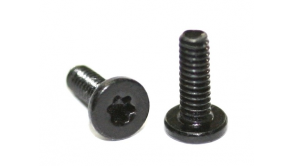 Tornillos M2x4 Torx T6 CABEZA EXTRA PLANA (x20)