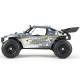 1/18 Roost 4WD Desert Buggy: Grey/Yellow RTR