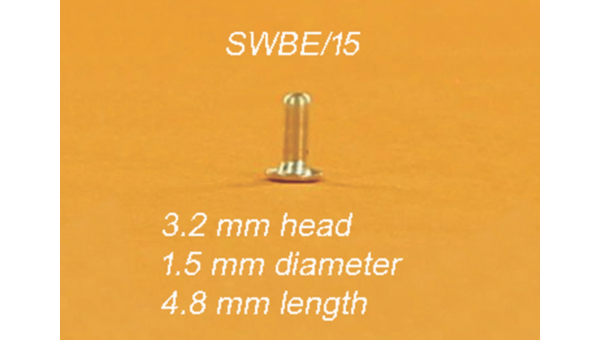 Terminales para Guia Cortos x10 SWBE15 