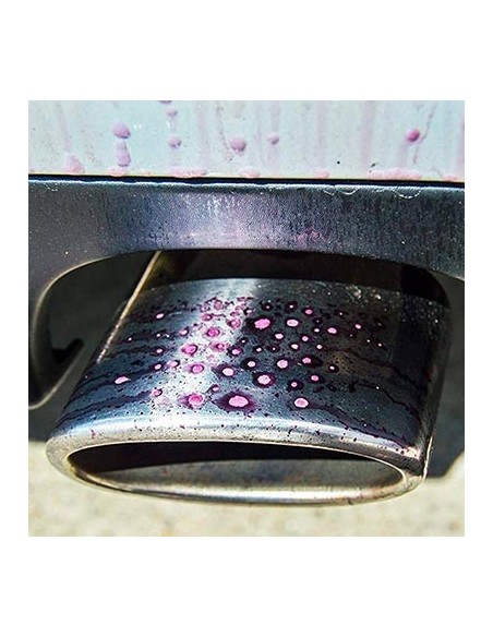 Sisbrill - A2766 - Red One 1 lt con pistola -  Detail Limpieza