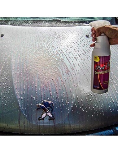 Sisbrill - A2766 - Red One 1 lt con pistola -  Detail Limpieza