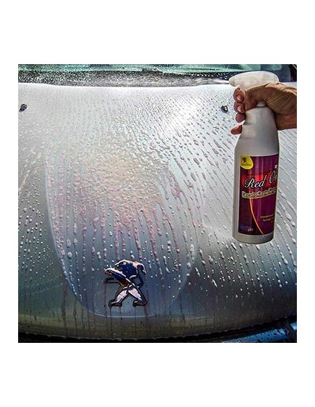 Sisbrill - A2766 - Red One 1 lt con pistola -  Detail Limpieza