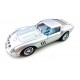 Ferrari GTO Street Car Silver Pink kar