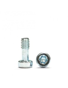SP159911 - Tornillos M21 x 5 T6 torx Carrocería + destornillador x20