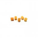 5 x Piñon nylon 8z