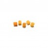 5 x Piñon nylon 8z
