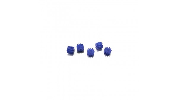 5 x Piñon nylon 10z
