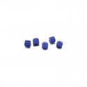 5 x Piñon nylon 10z