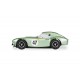 Shelby Cobra 289 - Bill Shepherd