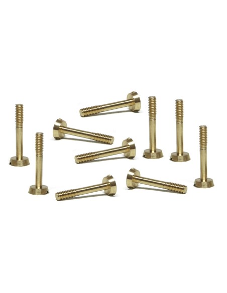 Tornillo métrico M2x13mm, latón, cabeza grande (10x)