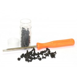 80 TORNILLOS M2x6mm Cabeza extra plana Torx T6