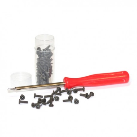 Tornillo M2 x 6 cabeza extra plana PHILLIPS