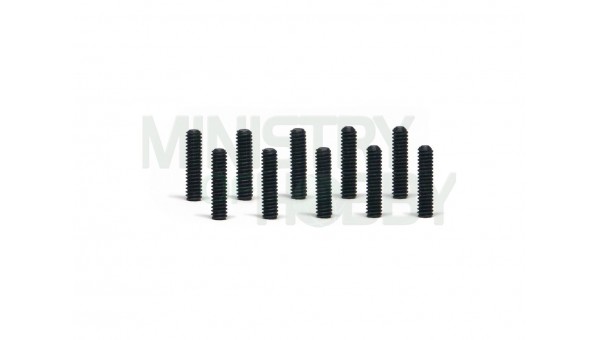 Tornillos M2 x 8mm (x10)