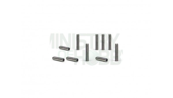 Tornillos M2X10mm (x10)