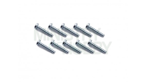 Set tornillos 2.2x9.5mm