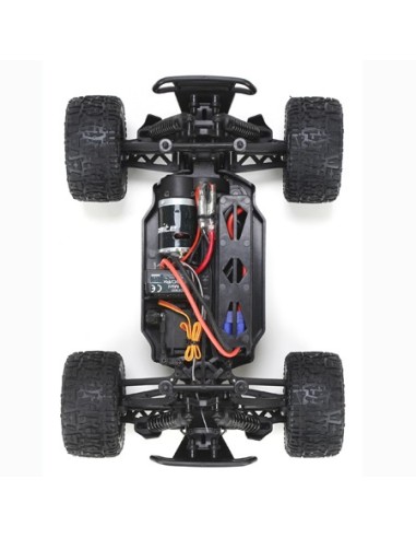 Ruckus 1/18th 4WD Monster Truck RTR INT