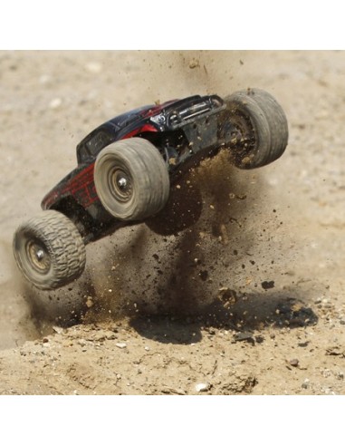 Ruckus 1/18th 4WD Monster Truck RTR INT